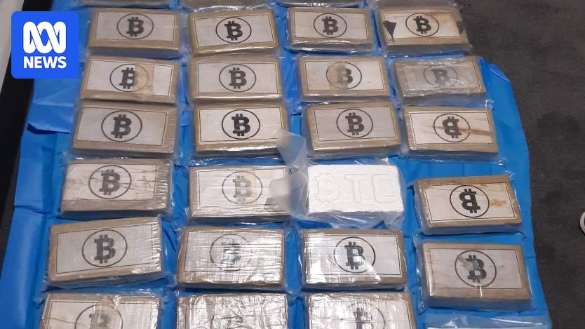 Documents reveal how thwarted kidnapping led to billion-dollar Sydney drug bust