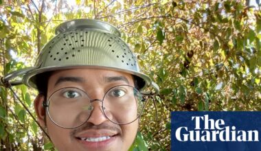Colander-wearing Pastafarian strains the rules with Queensland driver’s licence photo | Transport
