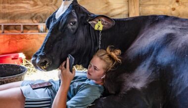 22 Beautiful Winning Images From Sony World Photography Awards 2026