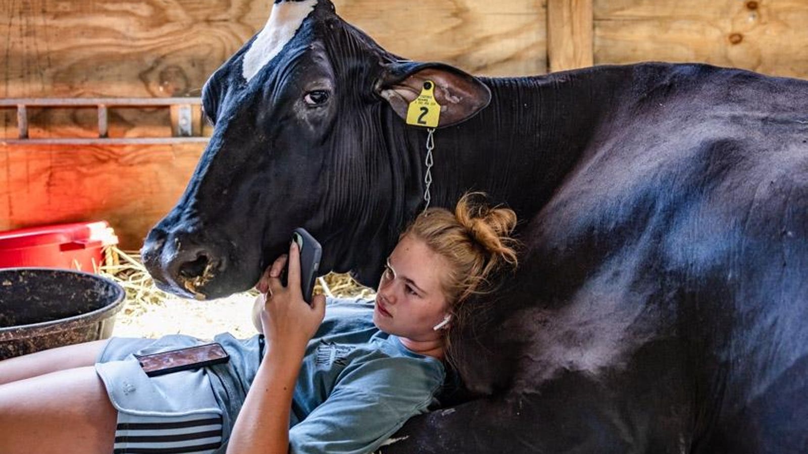 22 Beautiful Winning Images From Sony World Photography Awards 2026