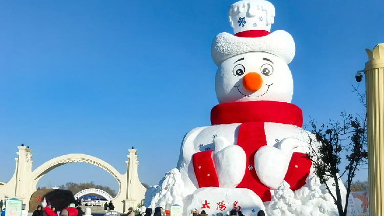 Live: See the symbolic giant snow sculpture at Harbin expo