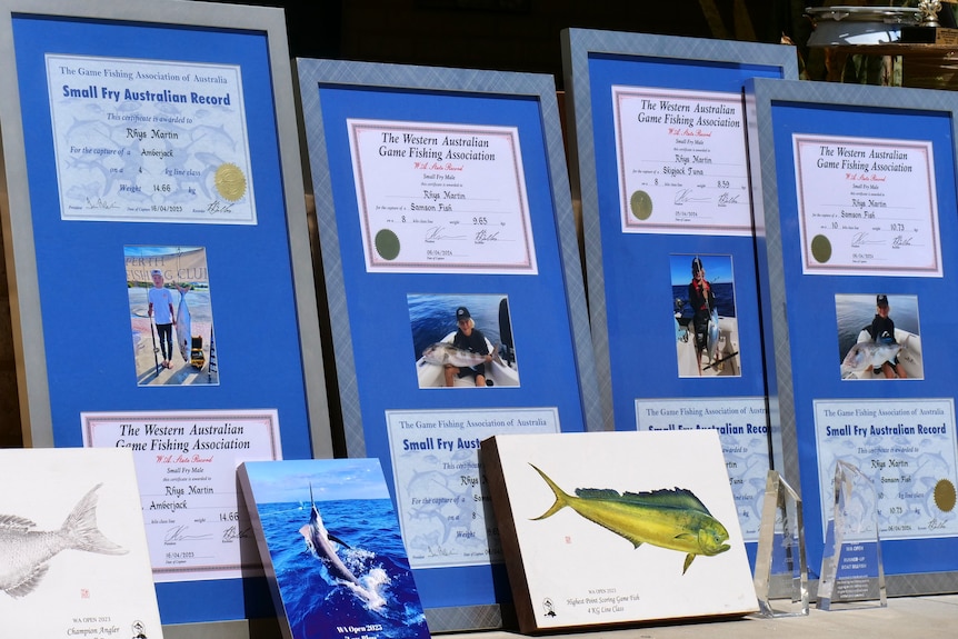 Four awards in frames, two glass trophies and a few pictures of fish lean against a wall outside.