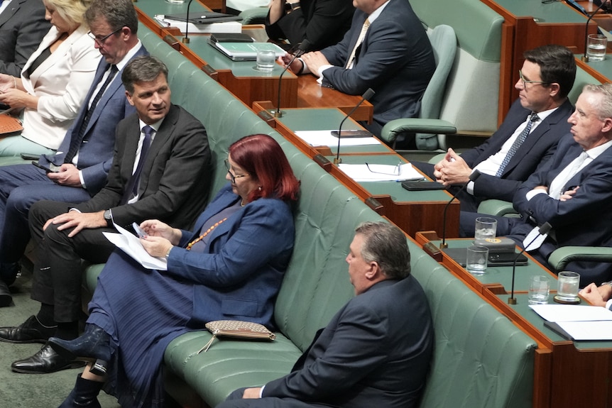 Angus Taylor and David Littleproud