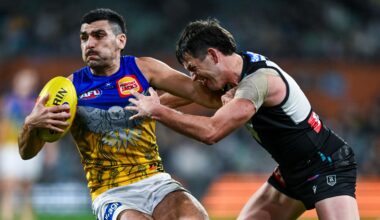 Match preview: Eagles v Power