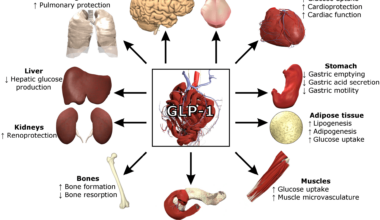 Semaglutide: Artificial Shortage Is Novo Nordisk's Business Model