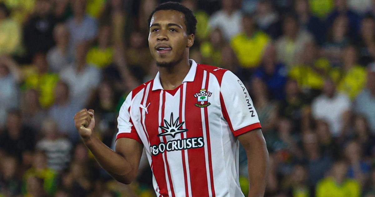 Southampton talks over signing second striker reportedly stall