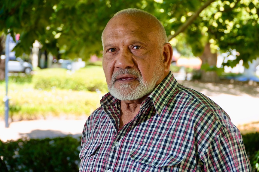 Dr Jim Morrison stands wearing a collared shirt and looking straight at the camera under the shade of a tree. 