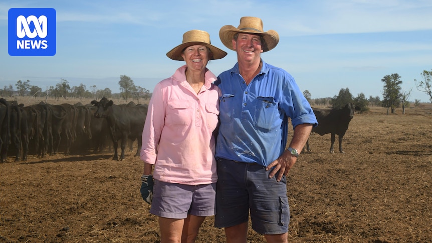Queensland farmers rejoice as rain soaks into parched paddocks