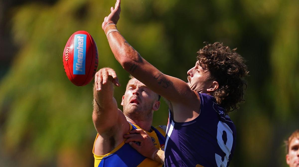 AFL stars past and present fire serious warning over changes to ruck rules