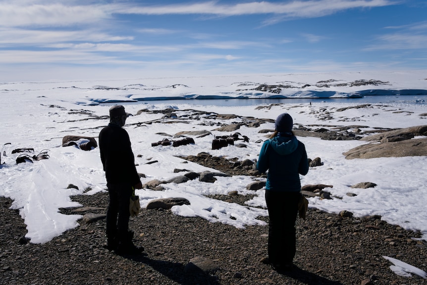 A remediation team from the Australian Antarctica Division test samples at Wilkes Station 2025-11-26 11:11:00
