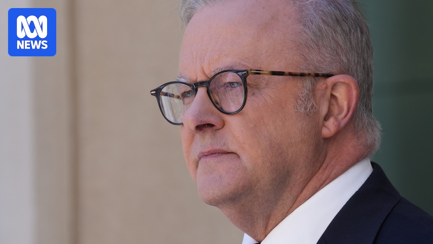 Anthony Albanese apologises if Grace Tame 'difficult' label misinterpreted