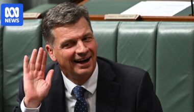 New Liberal leader Angus Taylor says he wants to focus on housing affordability