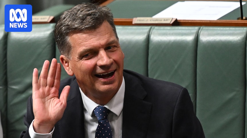 New Liberal leader Angus Taylor says he wants to focus on housing affordability