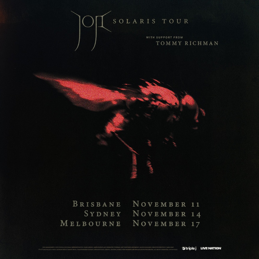 A black poster with distorted red image of a fly and light grey text