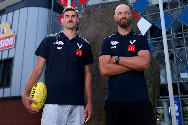Sam Darcy and Max Gawn of Victoria.