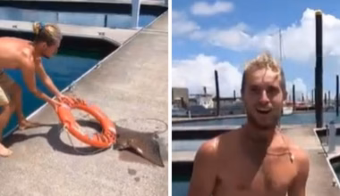 Moment stingray strikes man during rescue in NSW