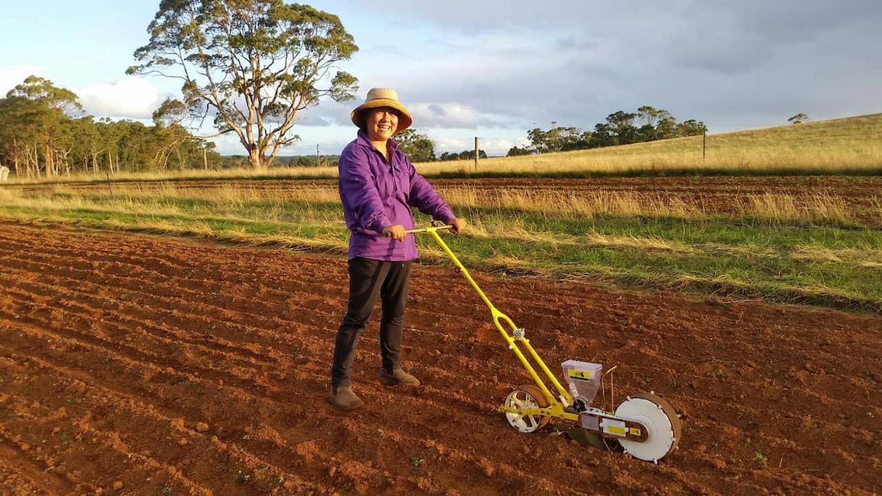 Woman with hat and purple shirt holds farming device on a piece of soiled land
