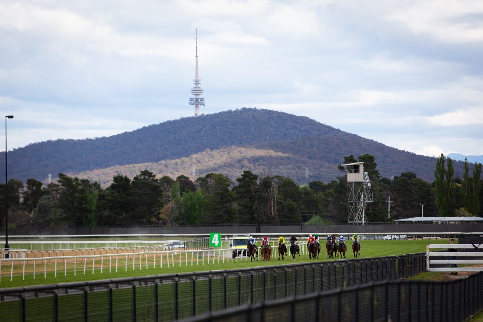 Rob Potter Racing Day