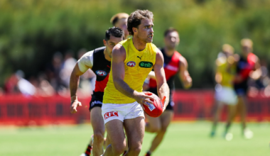 Tigers fall to Bombers in Match Simulation