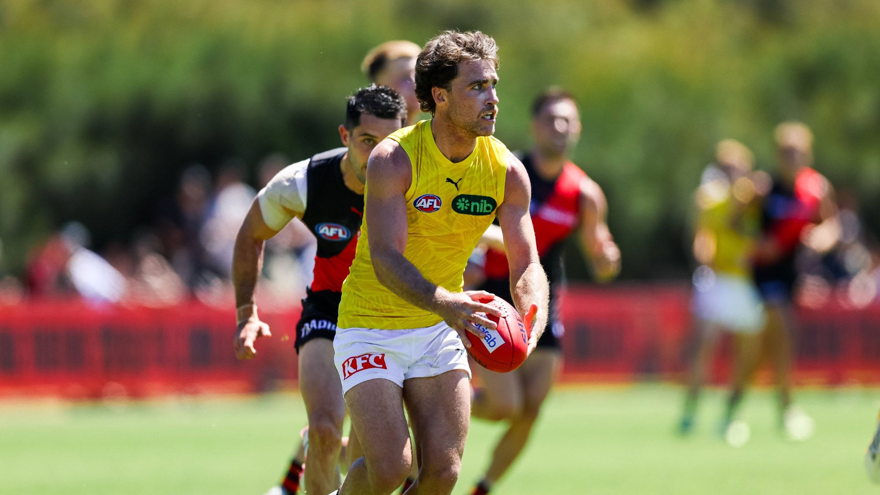 Tigers fall to Bombers in Match Simulation