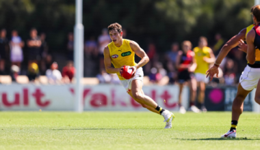 The Tigers who shined in Bombers match sim clash