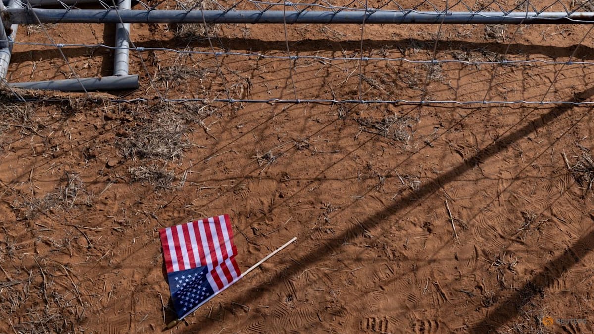 Toddler was returned to ICE custody and denied medication after hospitalisation, lawsuit says