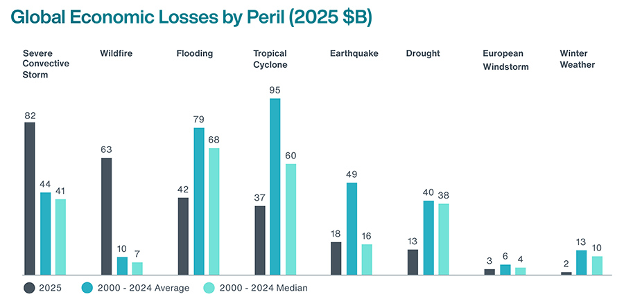 Global Economic Losses by Peril 