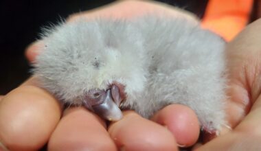 Media release 16 February 2026