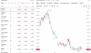 Hong Kong-listed EV stocks fall as Jan sales data reveal broad weakness