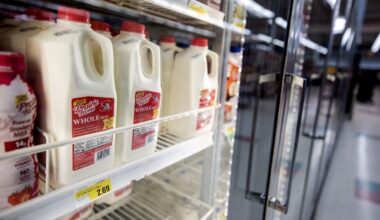Americans drank more milk in 2024, reversing a decade-long decline