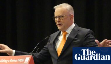 Anthony Albanese taunts new Liberal leaders in first comments since Sussan Ley’s ousting | Australian politics