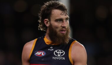 Adelaide Crows season preview, analysis, premiership chances, predictions, Josh Rachele comments, latest news