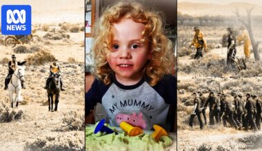 Inside the 'textbook' search for Gus Lamont