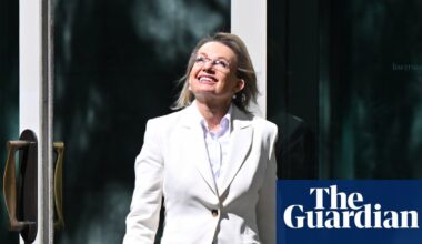 Sussan Ley to quit politics after being deposed as Liberal leader, triggering contentious byelection | Sussan Ley