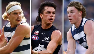 Cats star sidelined, new Blues get a chance