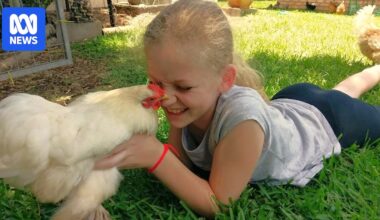 Chickens help autistic teen Summer Farrelly make sense of humans