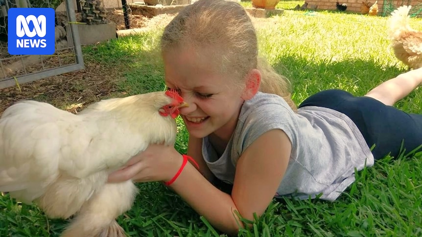 Chickens help autistic teen Summer Farrelly make sense of humans