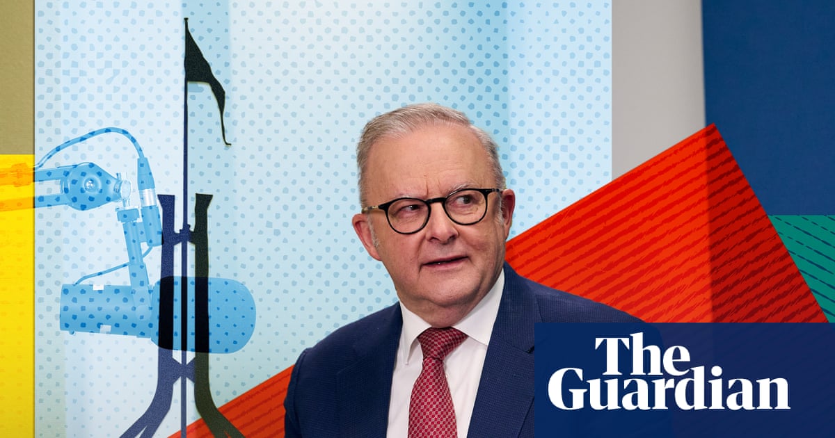 Albanese on ex-prince Andrew, Hanson and Islamic state families | Australian Politics podcast | Australian politics