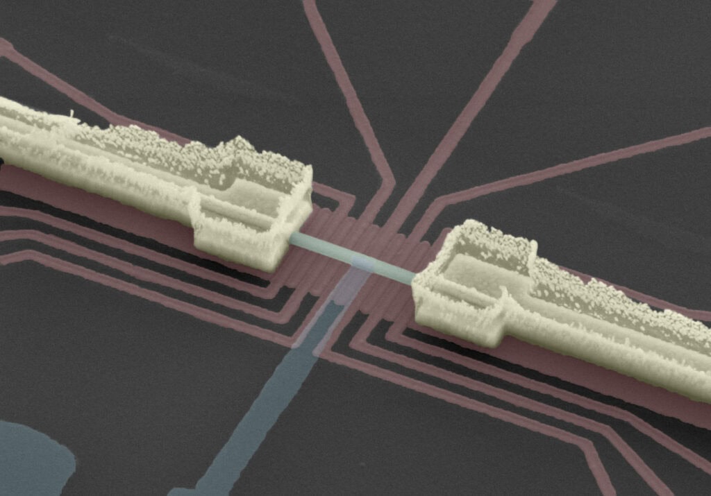 Read-out of Majorana qubits reveals their hidden nature – Physics World