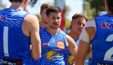 Training report: Eagles build momentum