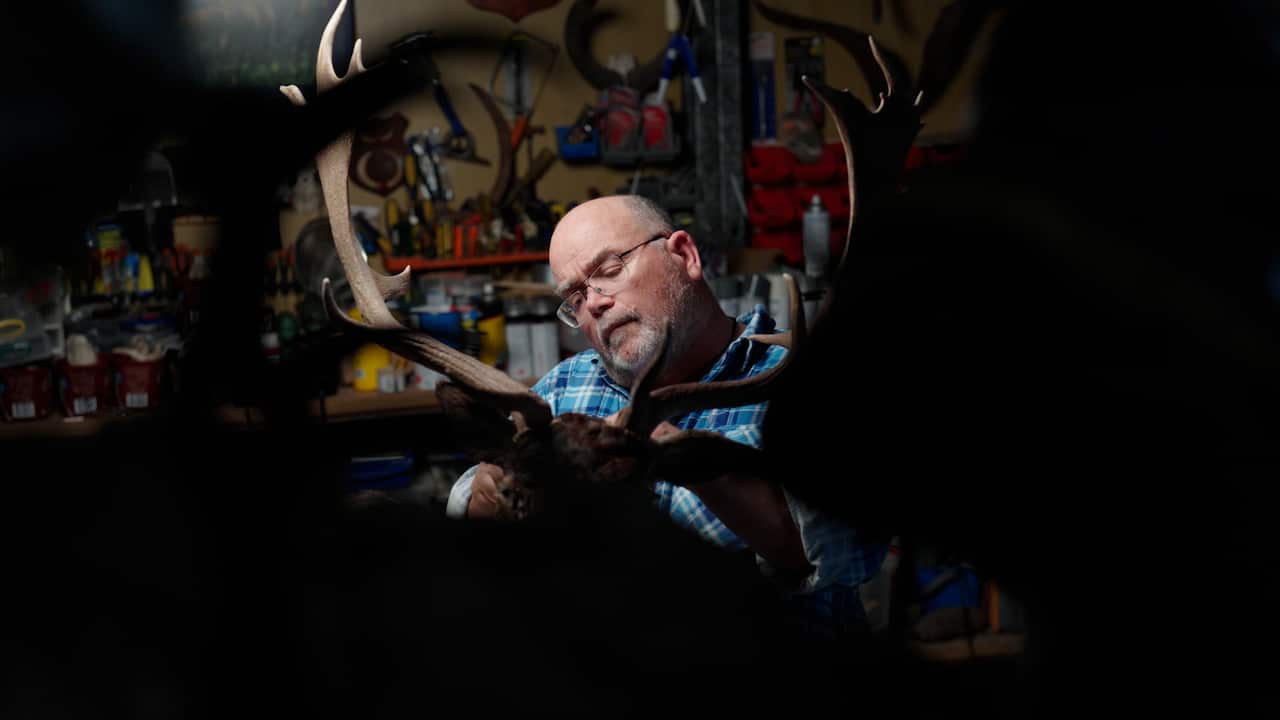 A man doing taxidermy on the body of a deer with large antlers.