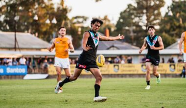 Power and Crows battle in pre-season hit out