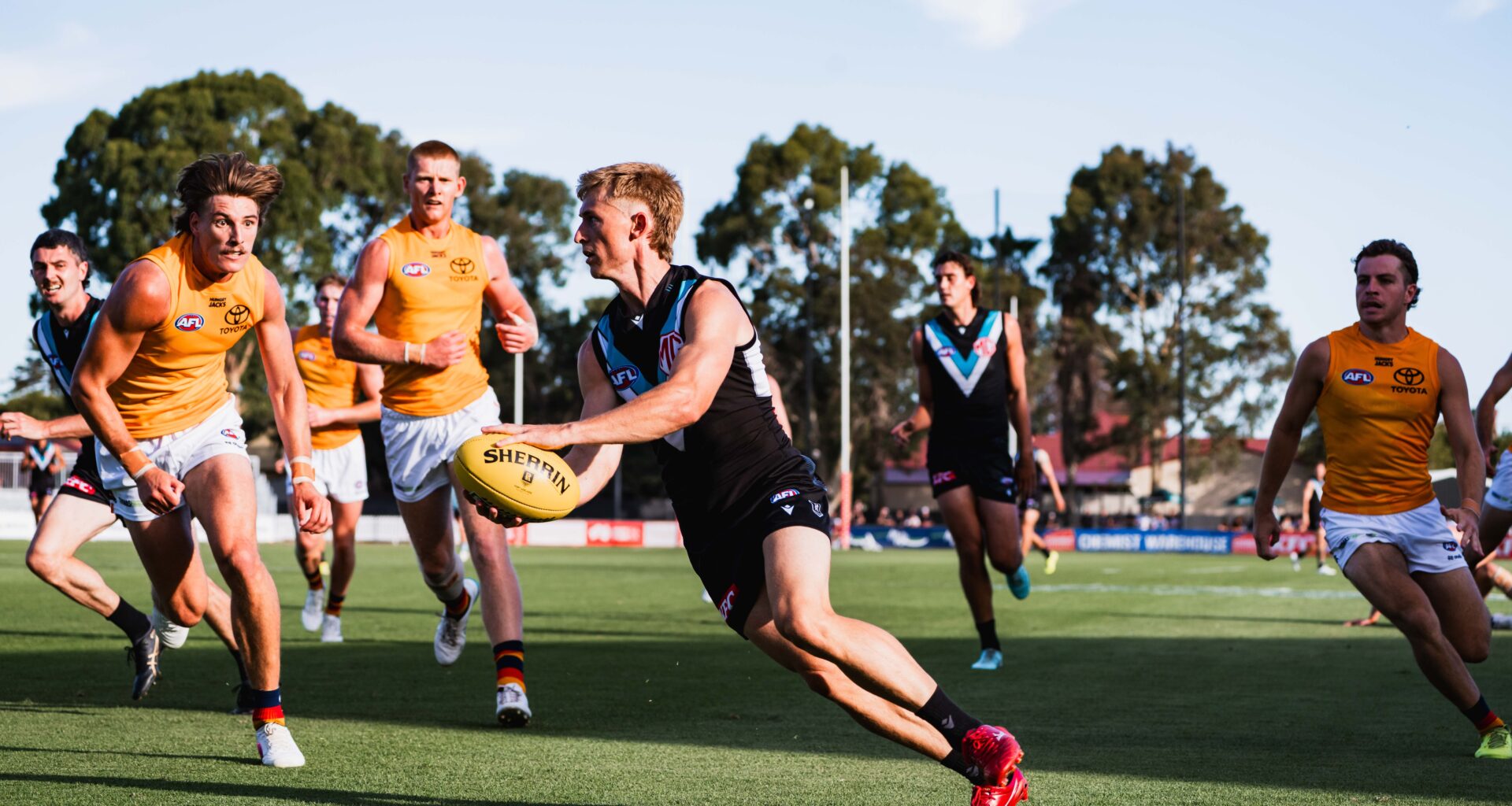 Webster reviews match sim