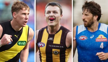 Big Tiger named, Hawk returns, big boost for Bulldogs
