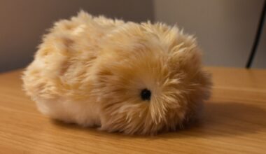 Casio’s AI pet Moflin will haunt my dreams