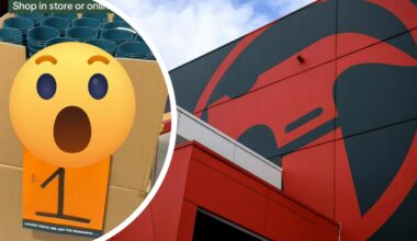 ‘Run, don’t walk’: Bunnings Warehouse delights shoppers with restock of viral $1 Bunnings Mini Bucket