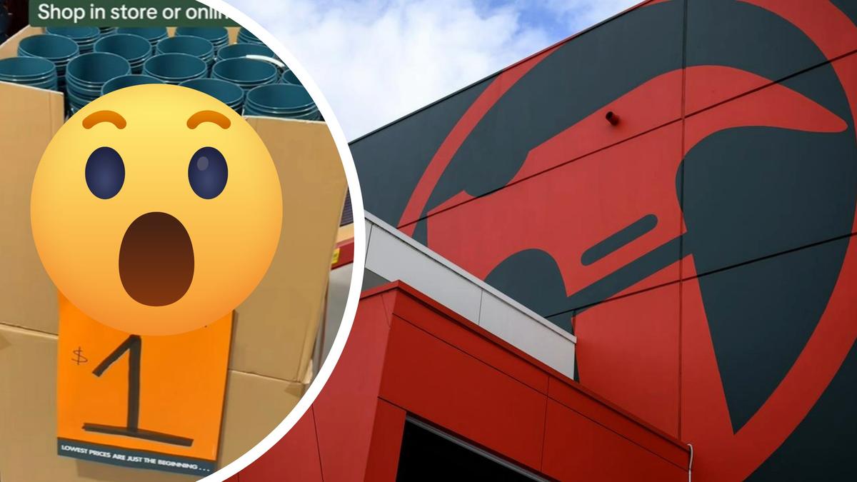 ‘Run, don’t walk’: Bunnings Warehouse delights shoppers with restock of viral $1 Bunnings Mini Bucket