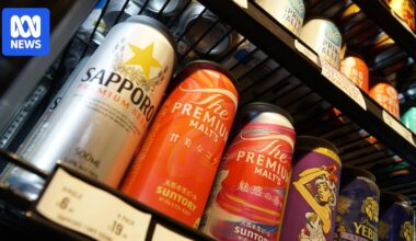 Japanese lagers thrive as Kirin and Asahi loom over Australia's beer market