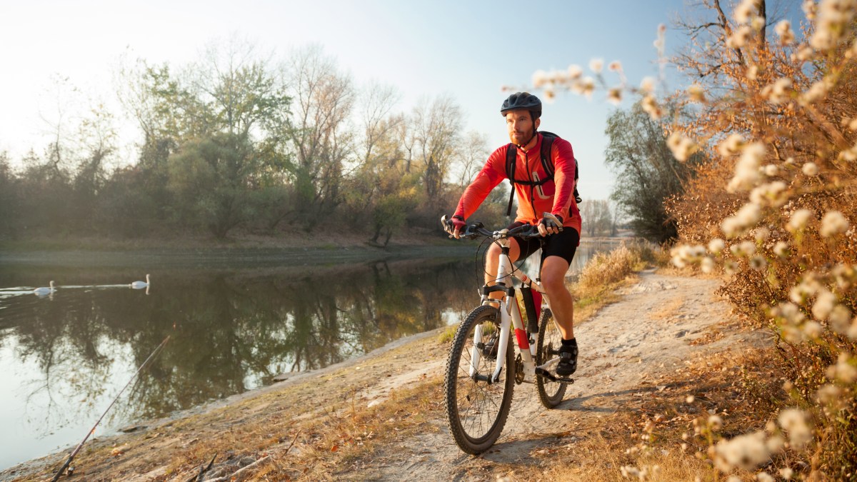 Mamils rejoice! Cycling boosts testosterone in middle-aged men