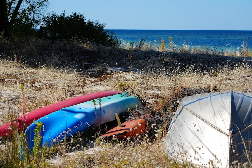 Kayaks line the shore of a beach